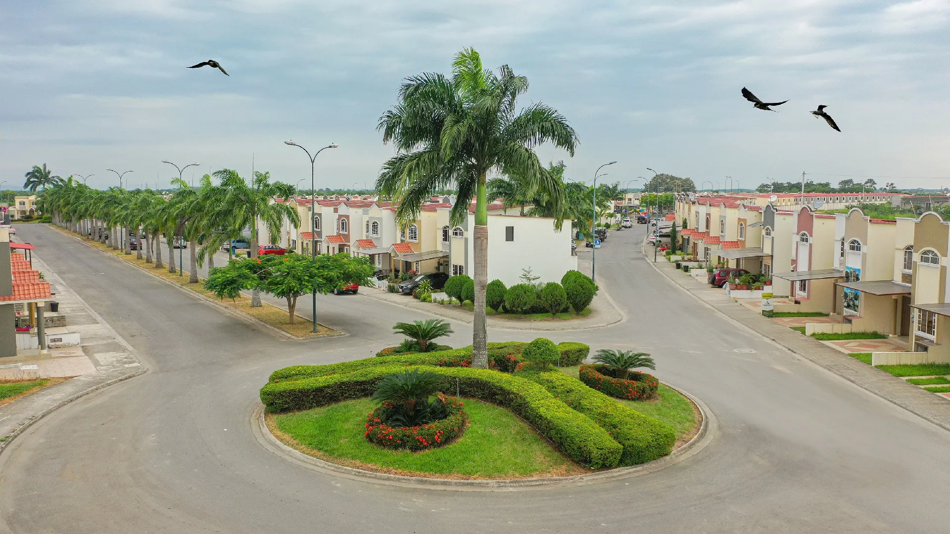 Urbanización Ciudad Palmera — fotografía 13