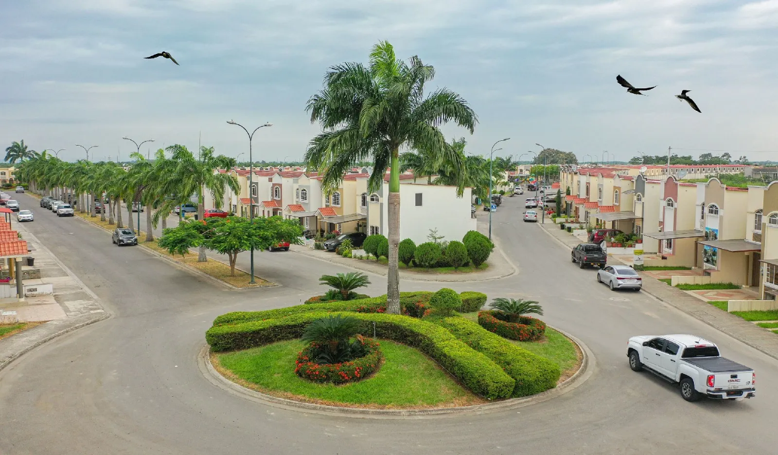 Calles y áreas comunes de Urbanización Ciudad Palmera