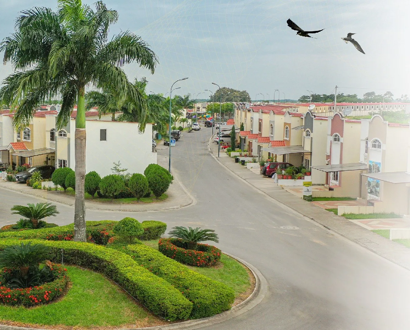 Vista aérea de Urbanización Ciudad Palmera
